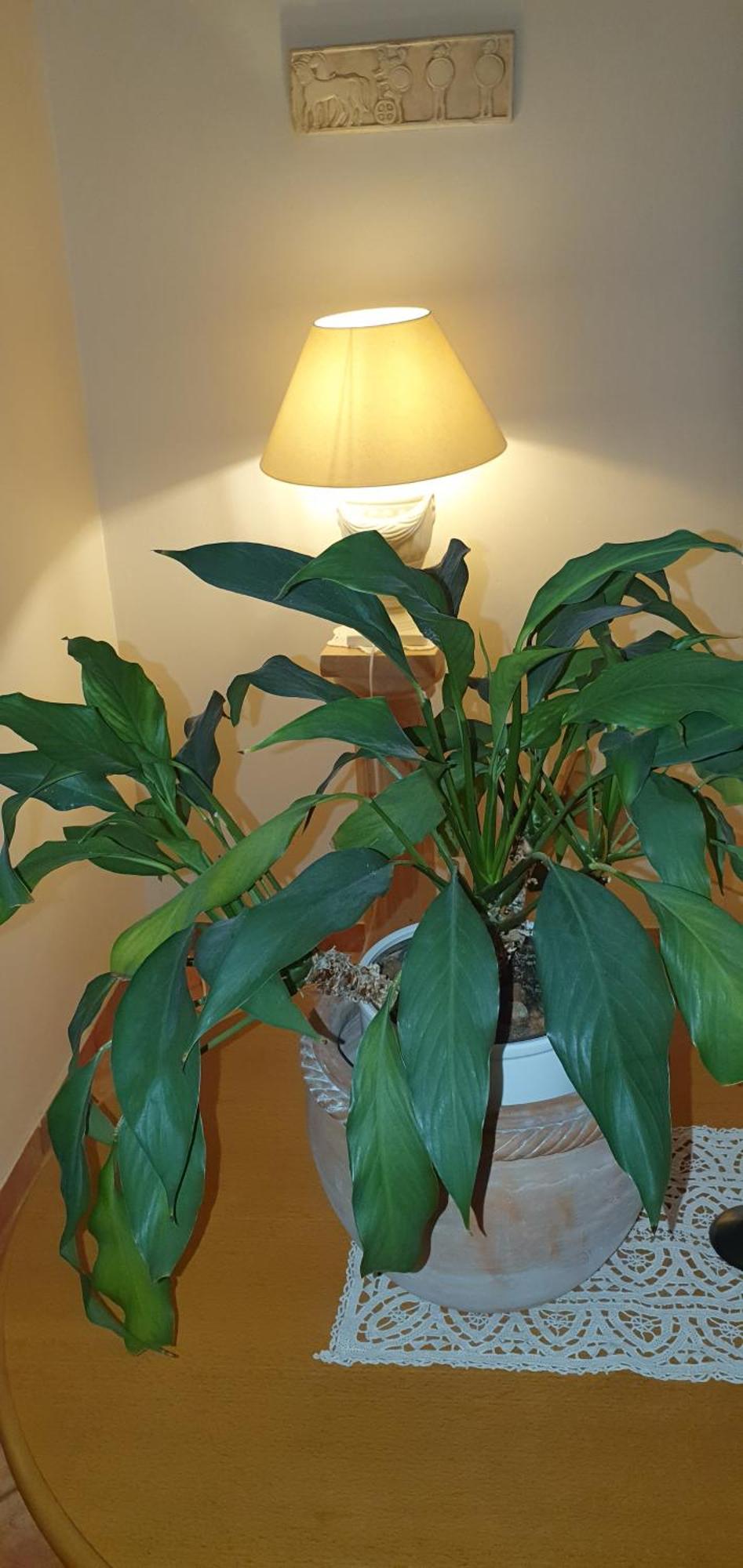 Wohnung in Zentrumsnähe beim Hauptbahnhof  Wien Zimmer foto